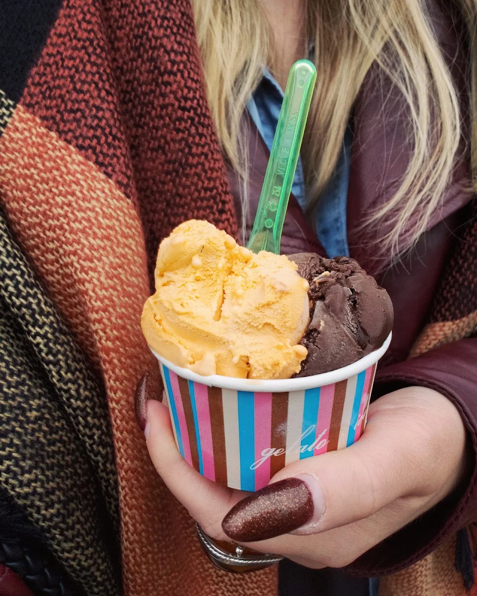 Pumpkin and Chocolate Gelato