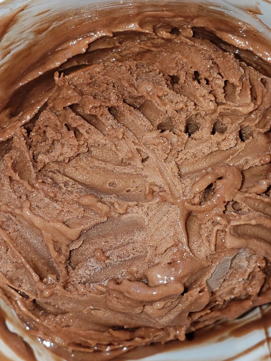 Vegan Chocolate Ice Cream