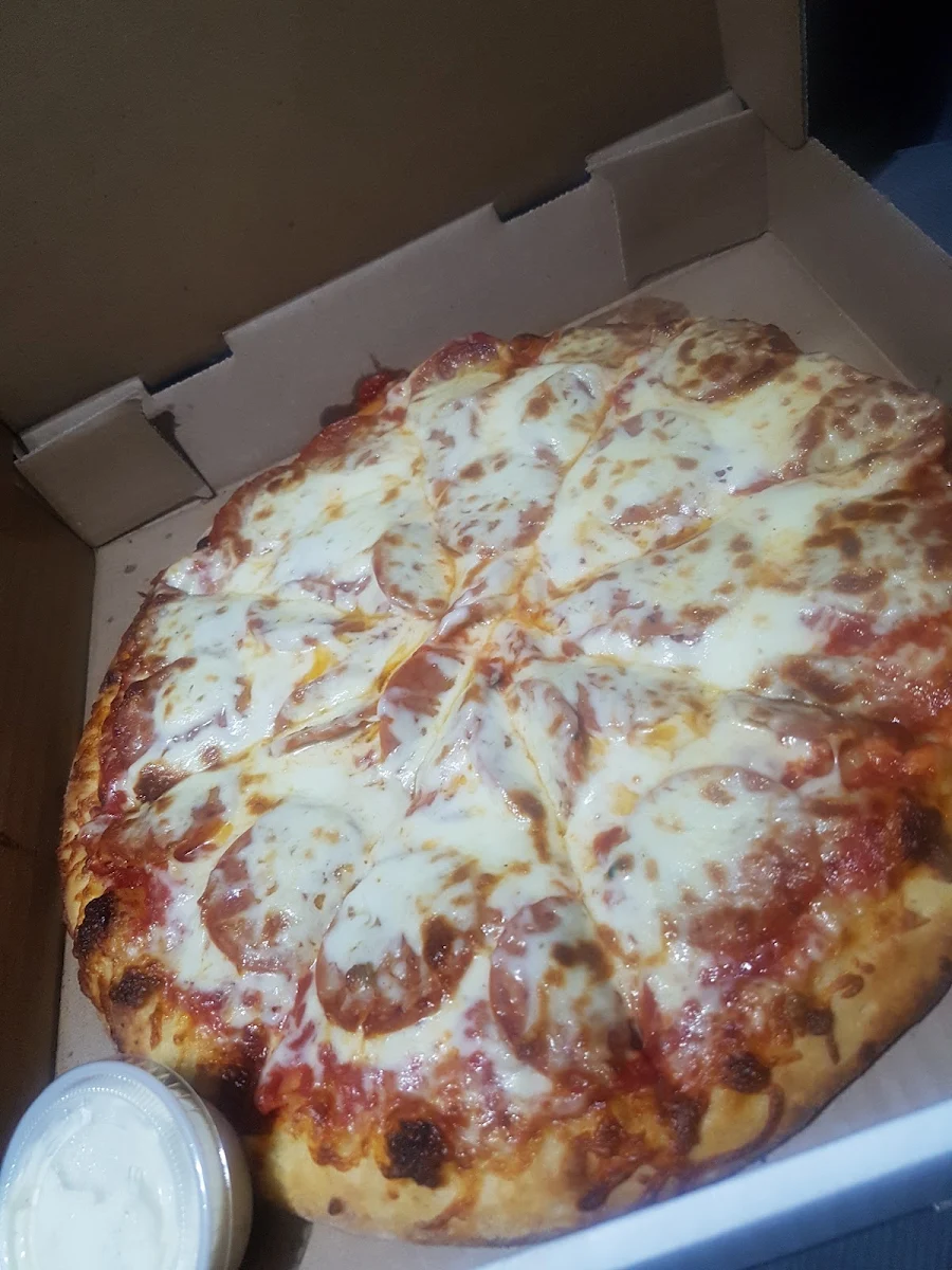 Salami and Cheese Pizza