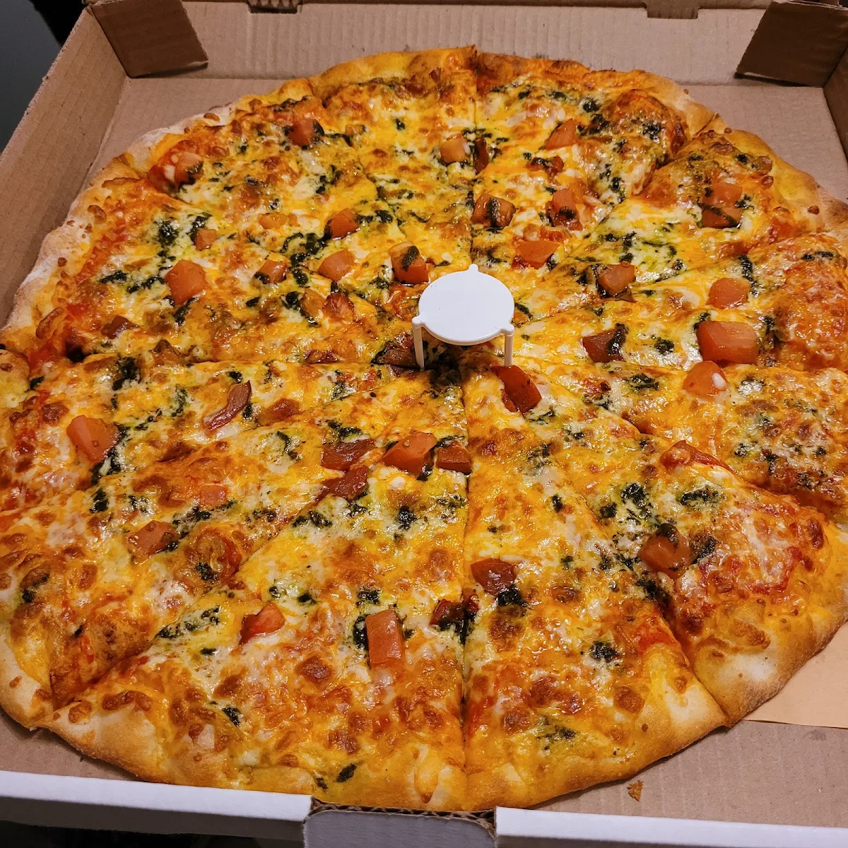 Highlights, Zaza's Pizzeria Inc