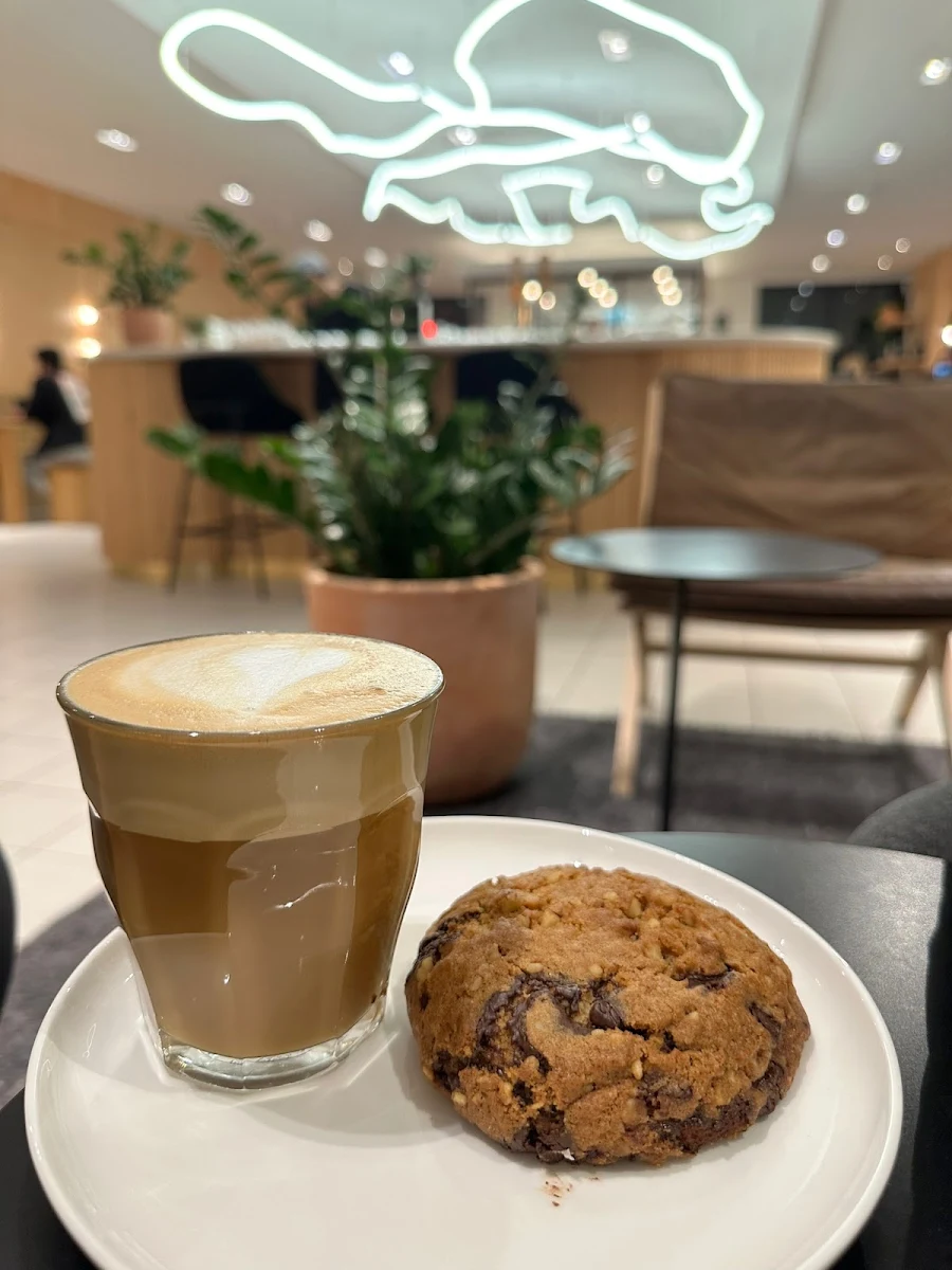 Walnut Chocolate Cookie