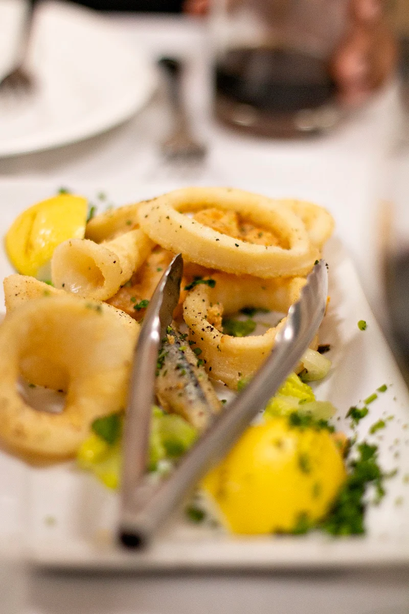 Fried Calamari