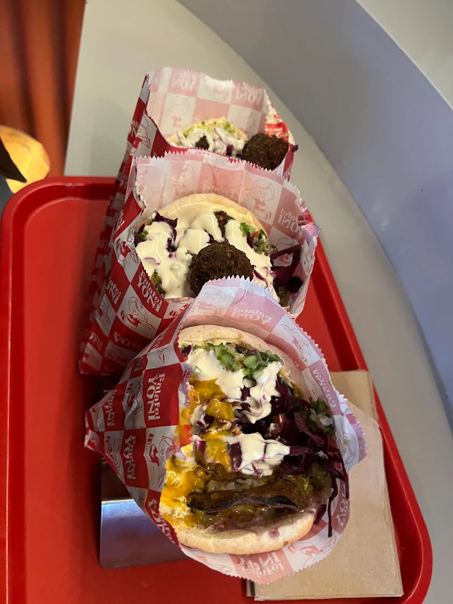 Falafel Wrap and Sabich