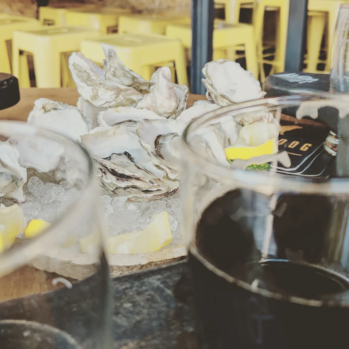 Cortes Island Oysters on the Half Shell