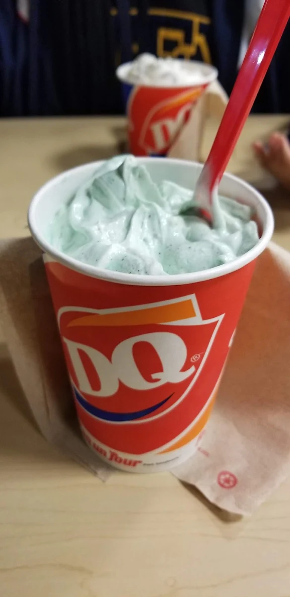 Mint Oreo Blizzard Treat