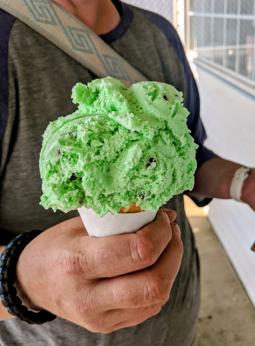 Mint Chocolate Chip