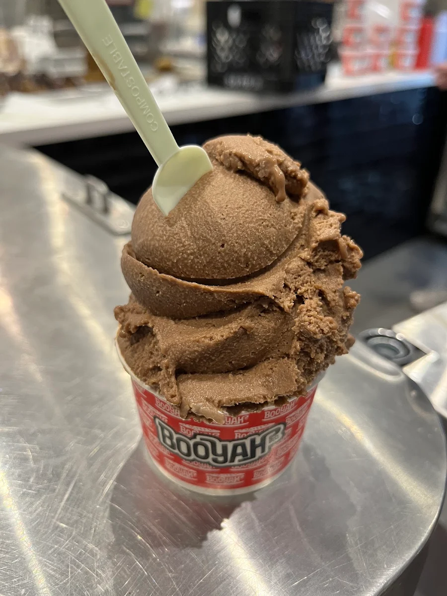 Vegan Chocolate Banana Icecream