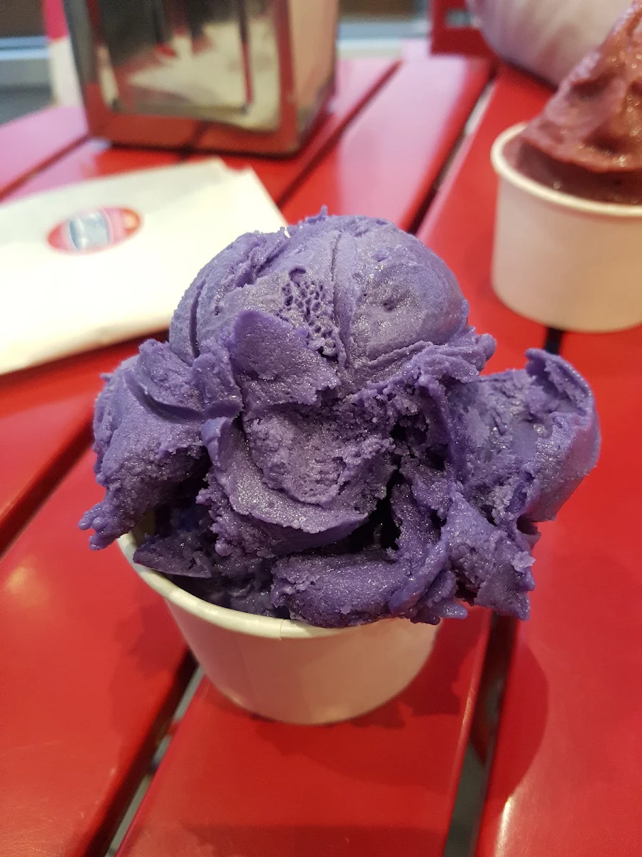 Vegan Taro Coconut Ice Cream