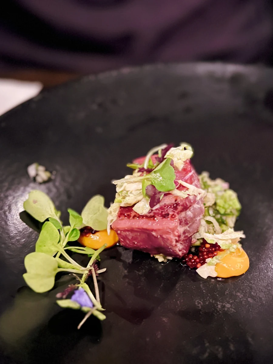 Bluefin Tuna