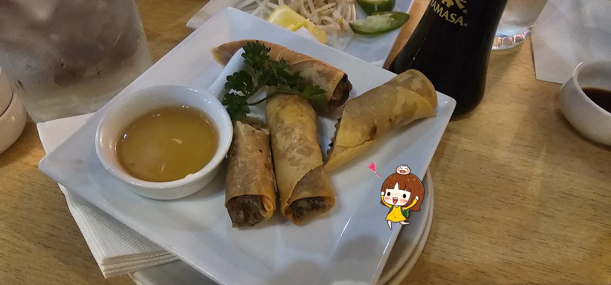 Spring Rolls