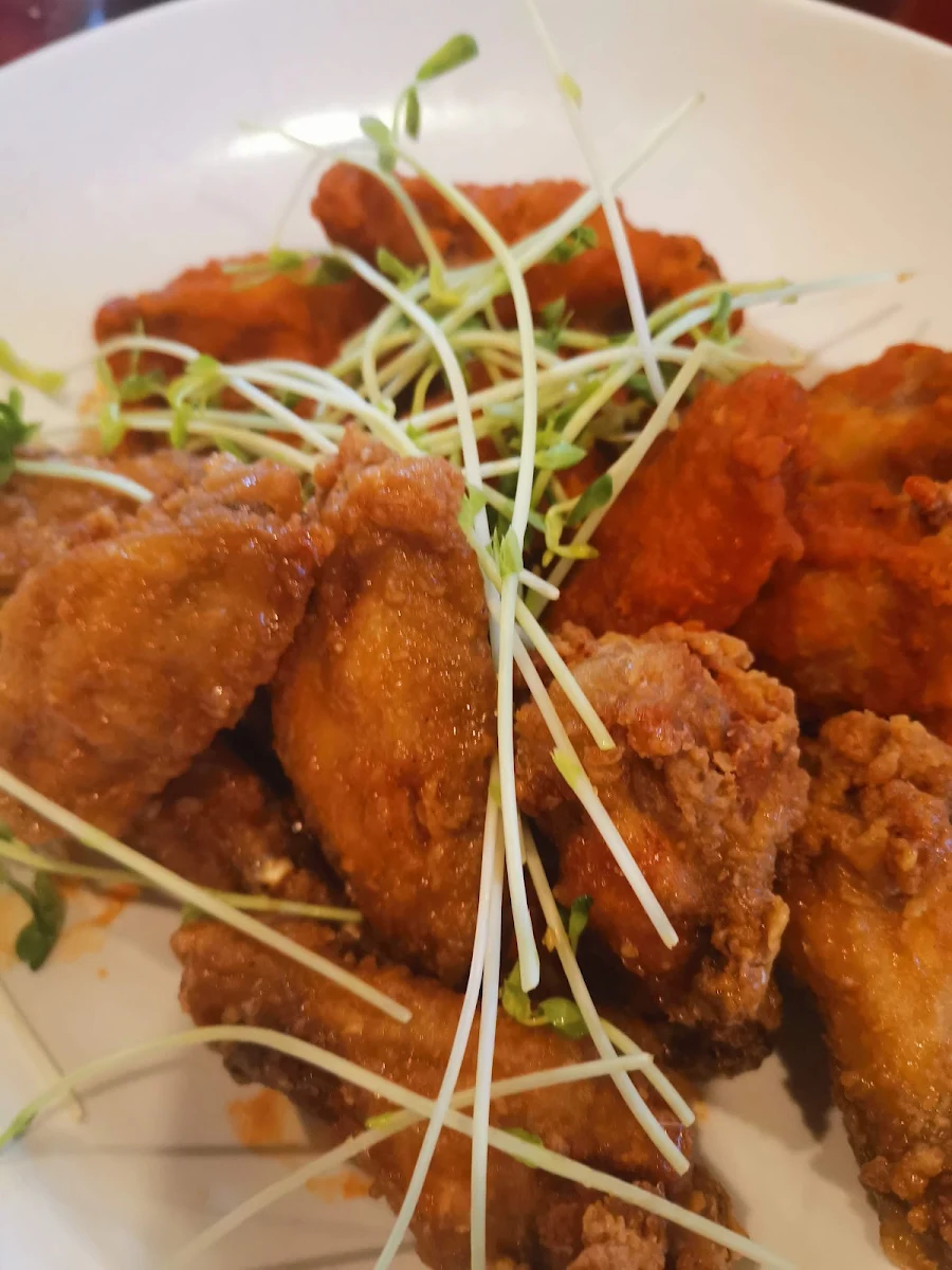Honey Garlic Chicken Wings