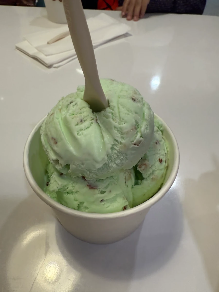 Mint Chocolate Chip
