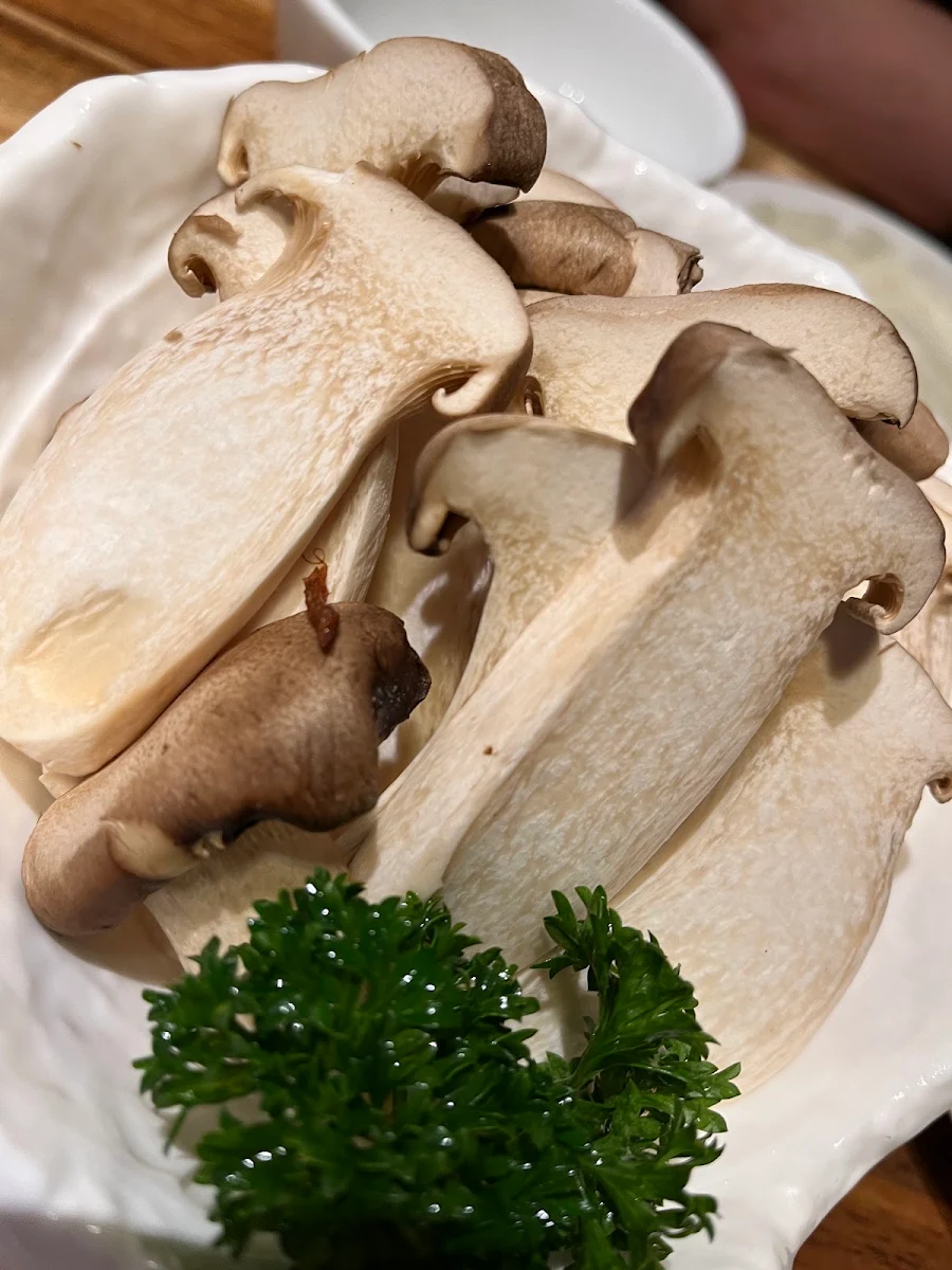 King Oyster Mushroom