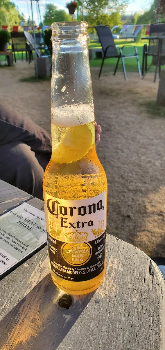 Corona Light, Swan on the Rideau