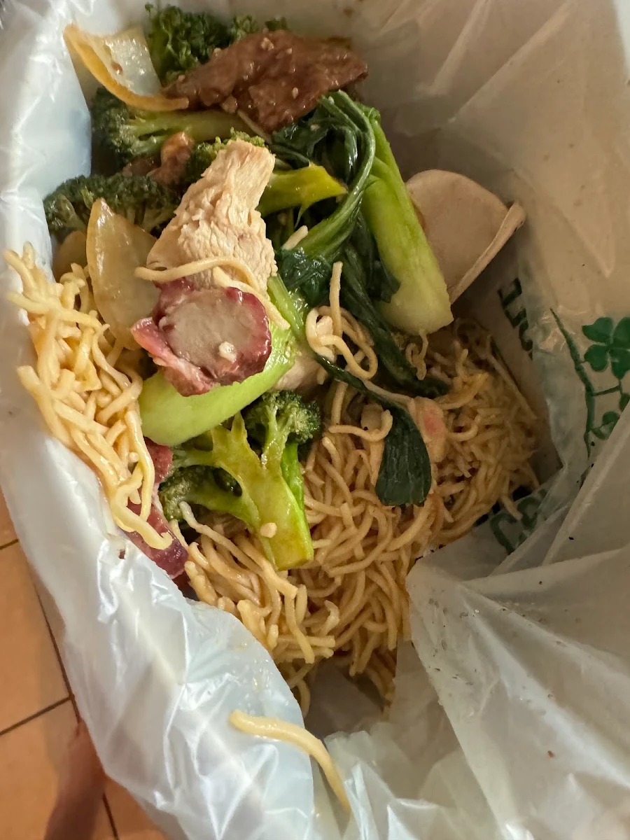 Meat and Seafood Chow Mein and Beef and Broccoli Beef