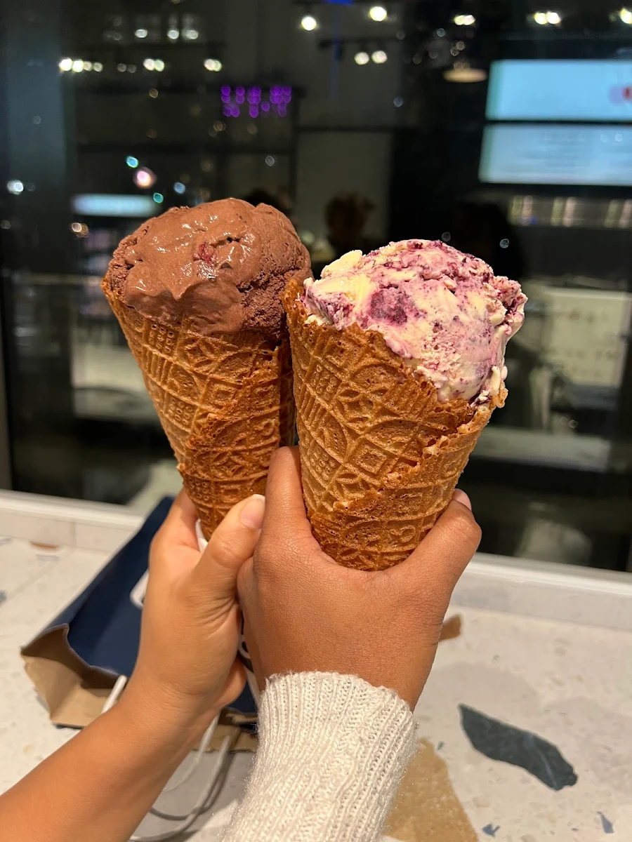 Lemon Curd Blueberry and Chocolate Cashmere