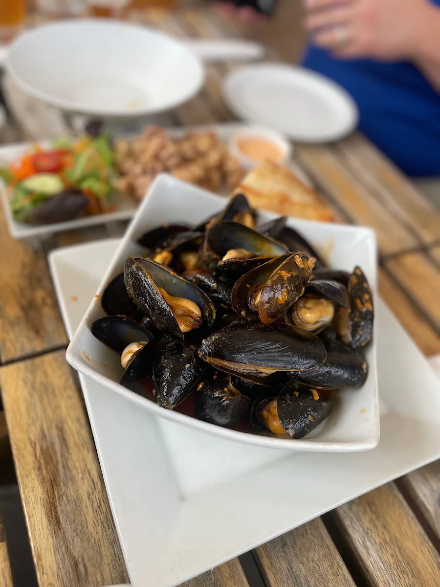 Fresh Steamed Mussels