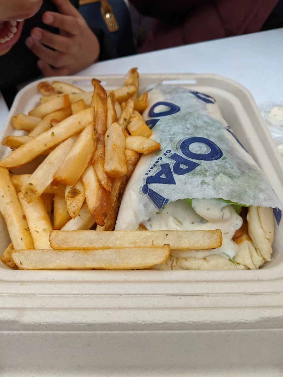 Falafel Wrap with Fries