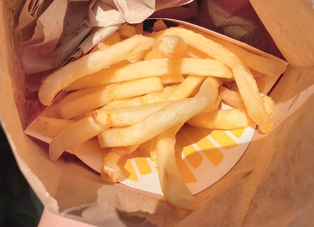 World Famous Fries – Small