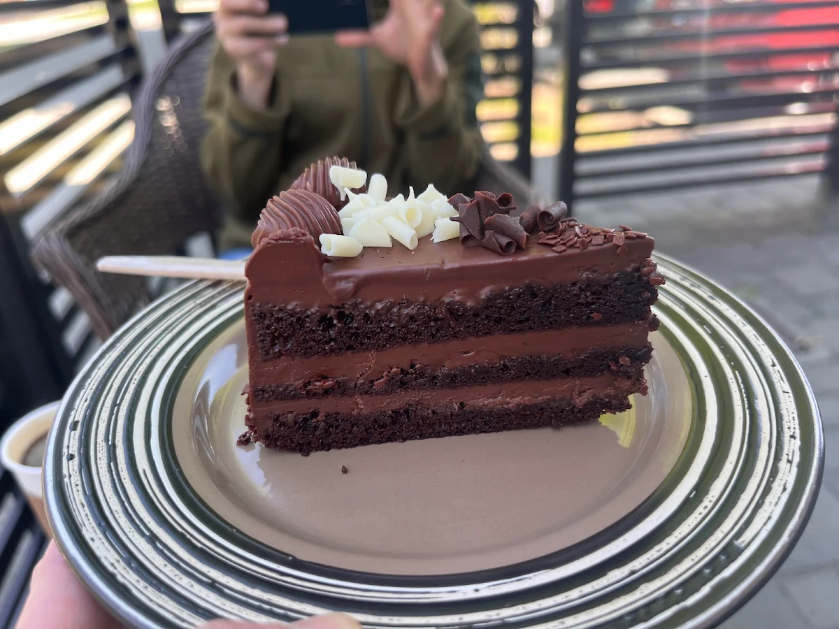 Chocolate Truffle Cake Slice