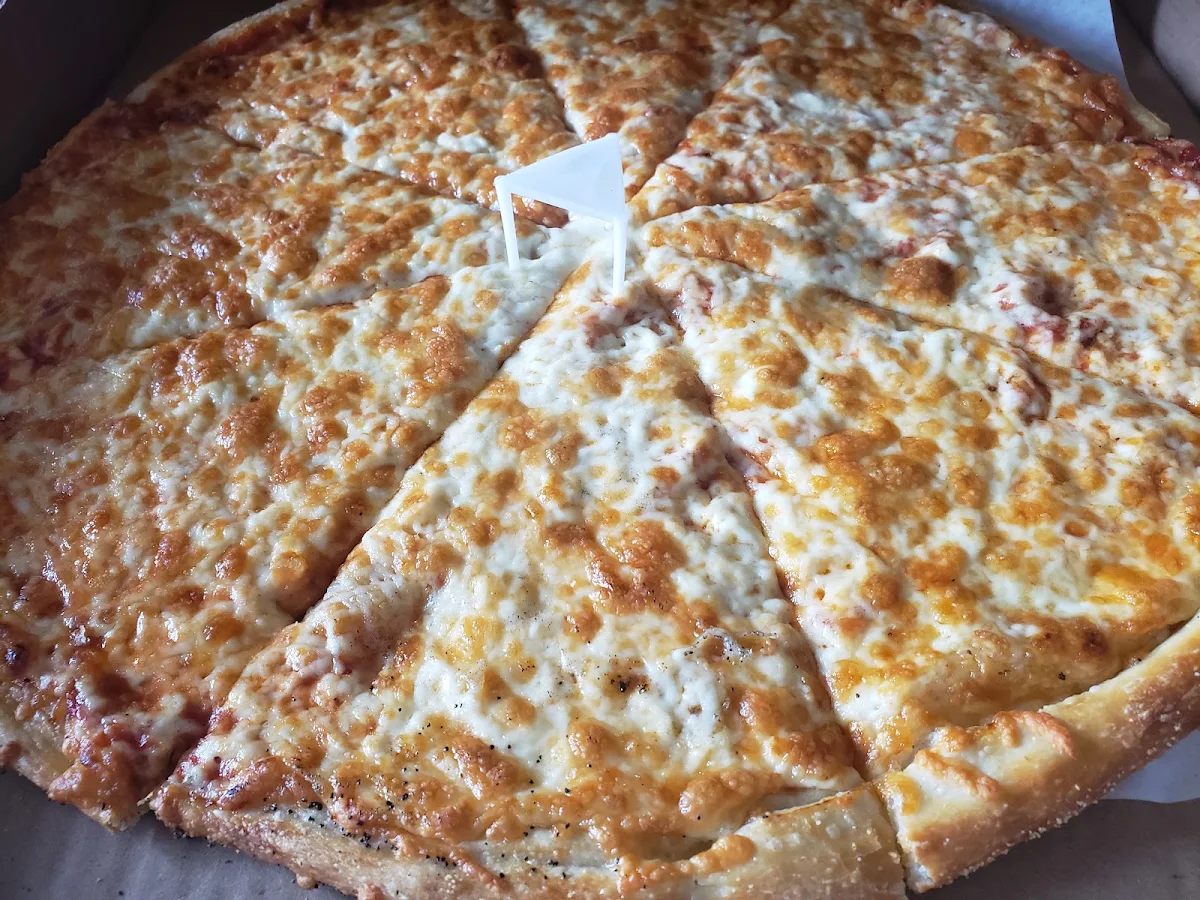 Mozzarella Cheese Pizza