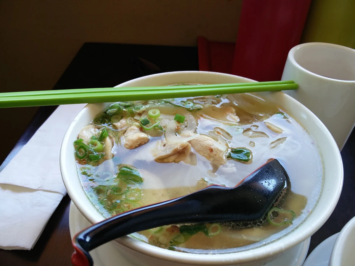 Chicken Noodle Soup