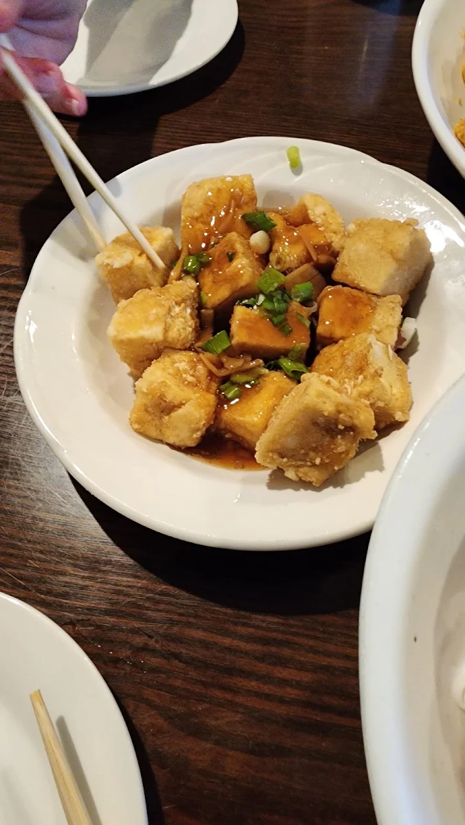 Deep Fried Tofu