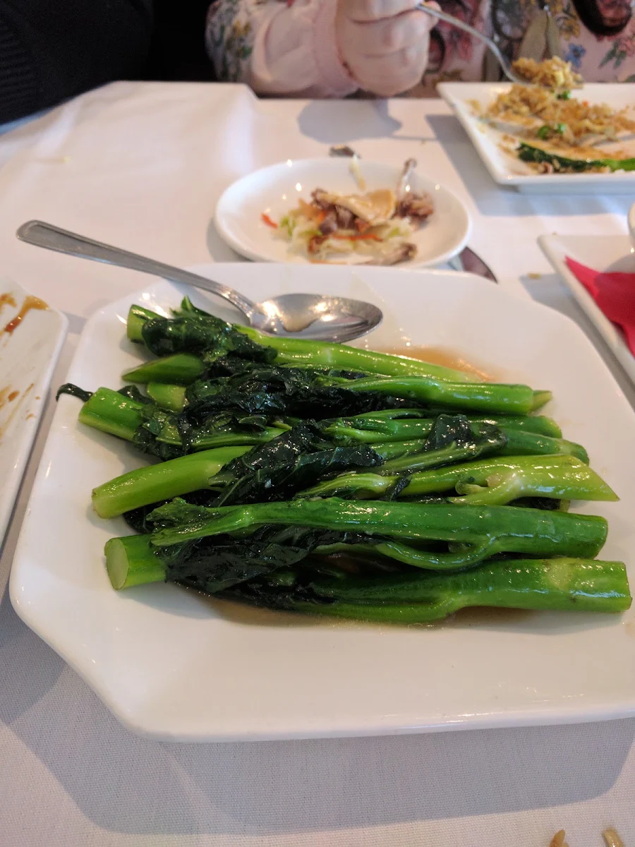 Chinese Broccoli with Garlic Sauce