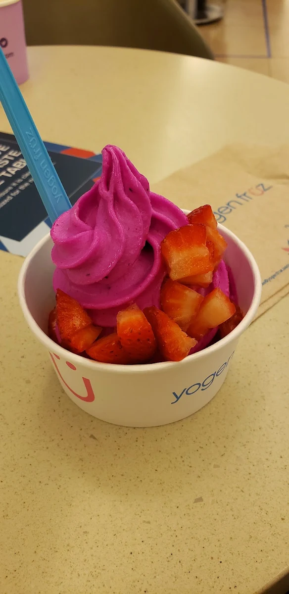 Vegan Dragon Fruit Froyo