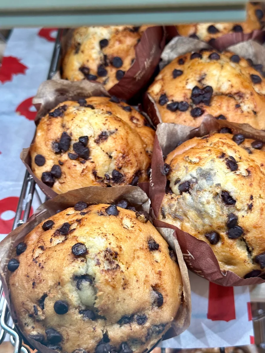 Chocolate Chip Muffin