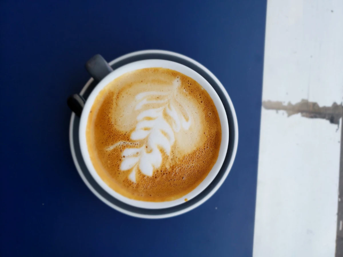 Highlights, Café Kujira