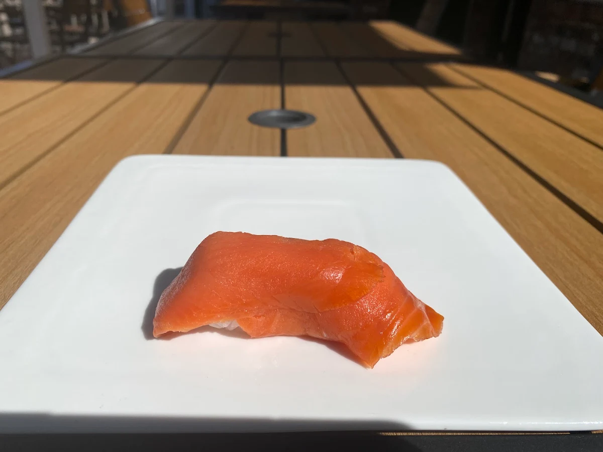 Wild Salmon Nigiri Sushi