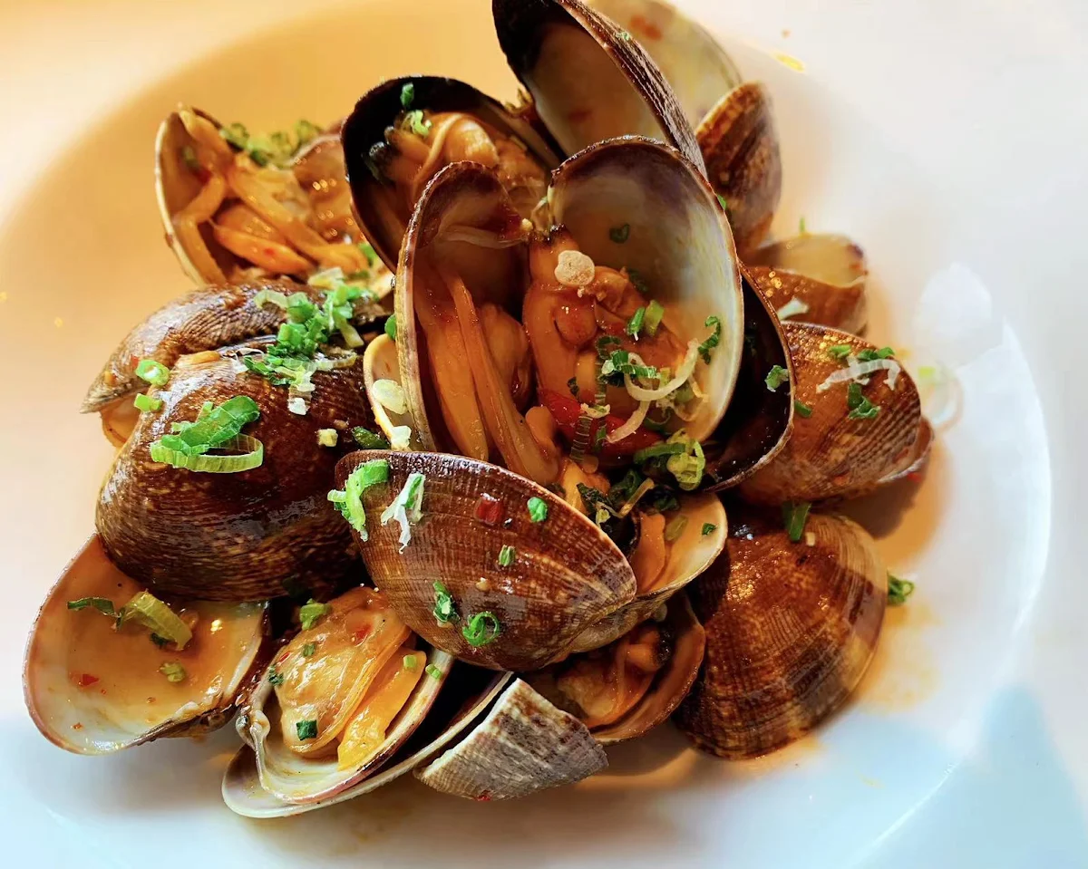 Steamed Clams - Asari Sakamusi