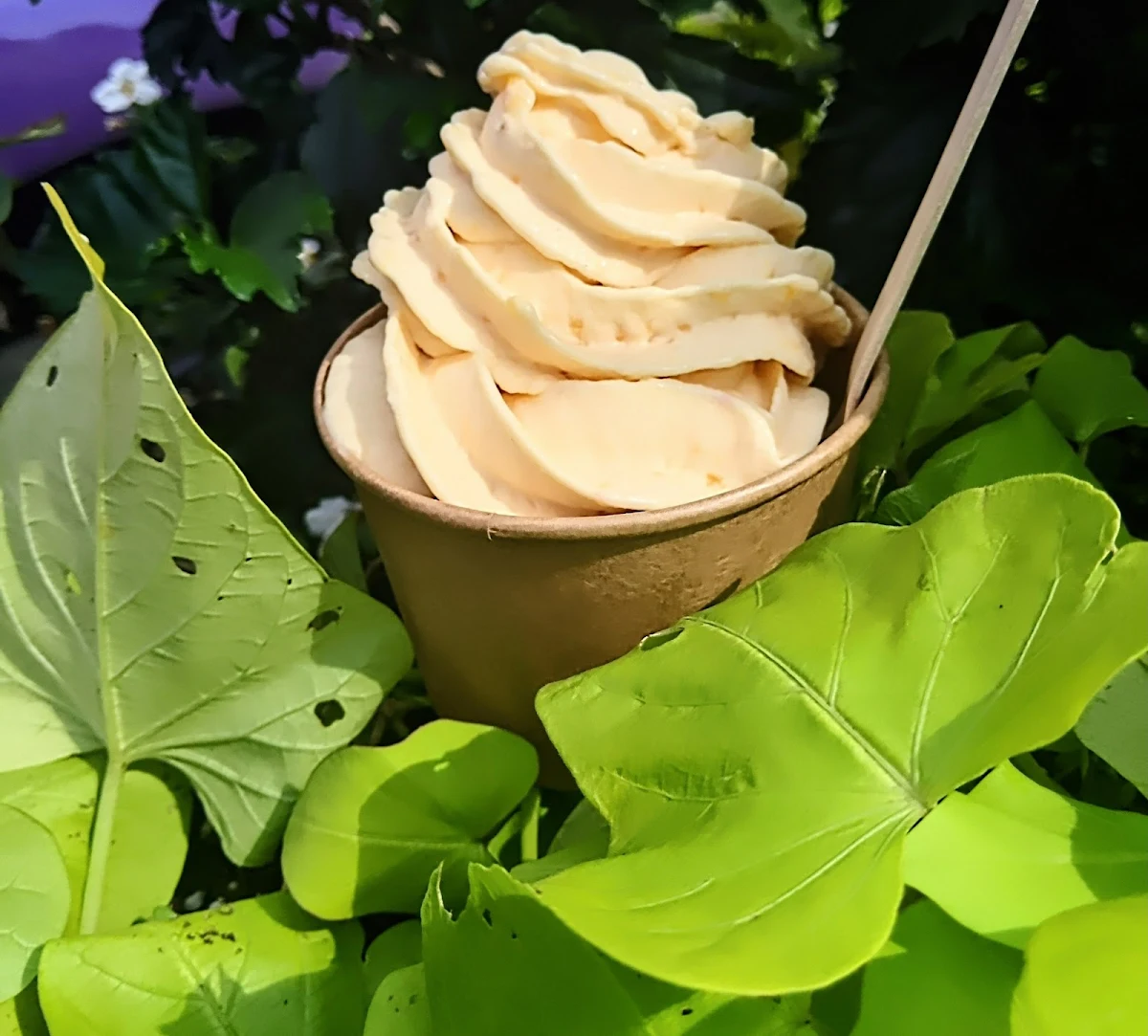 Peach Frozen Yogurt