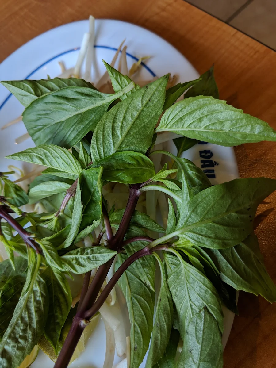 Traditional Pho Bo Soup