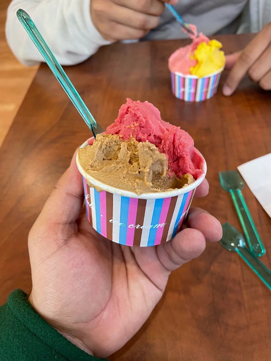 Gelato and Sorbet