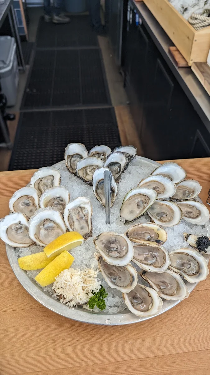 Oysters on the Half Shell