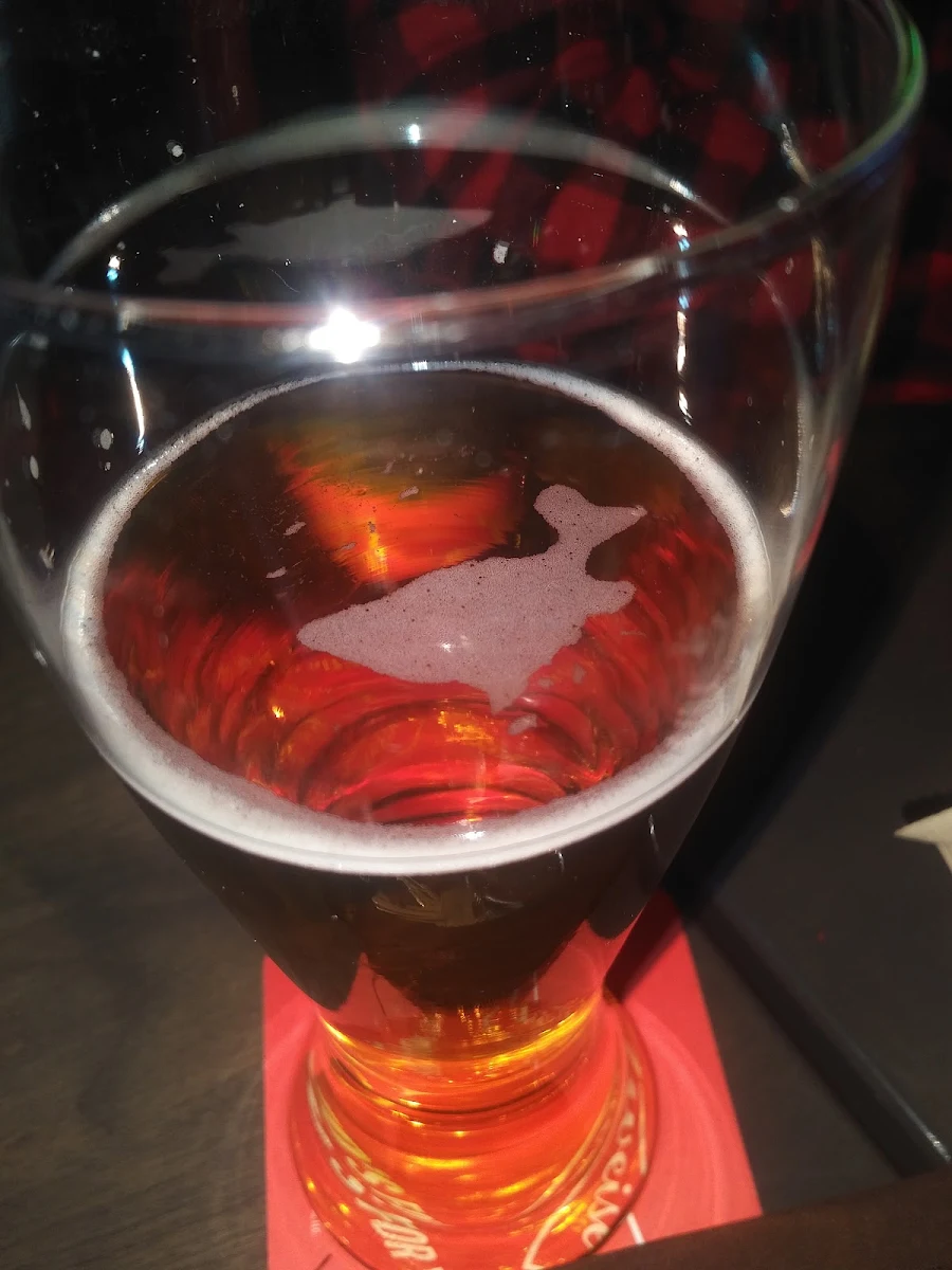 Draft Beer