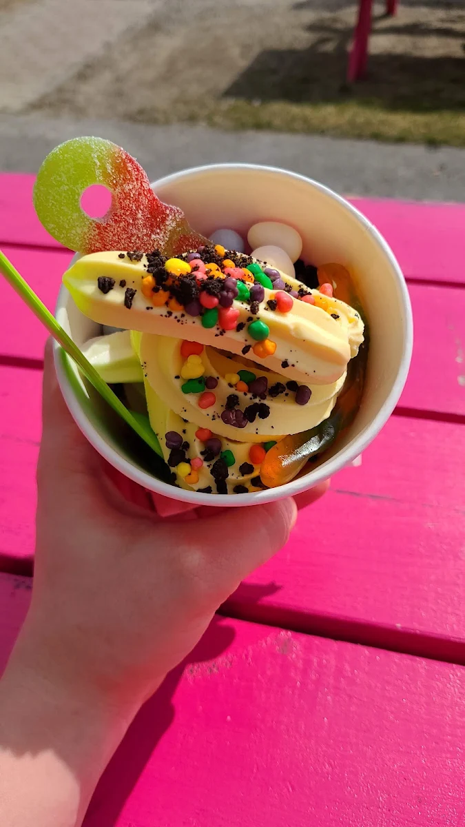 Mango and Vanilla Frozen Yogurt