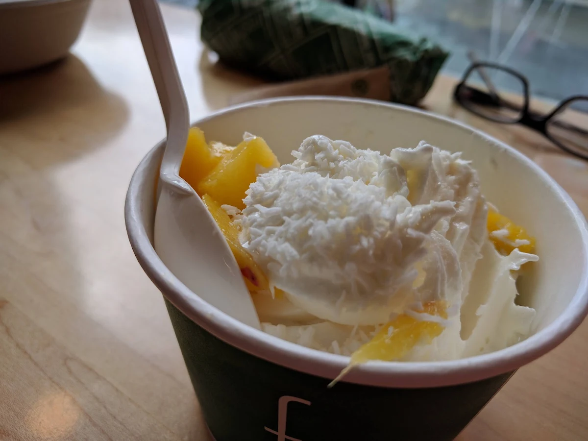 Frozen Yogurt