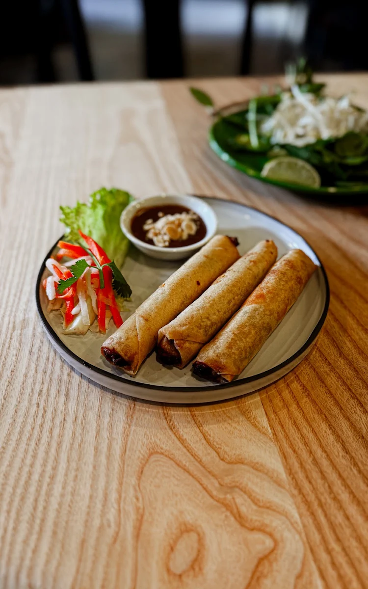 Meat Spring Rolls