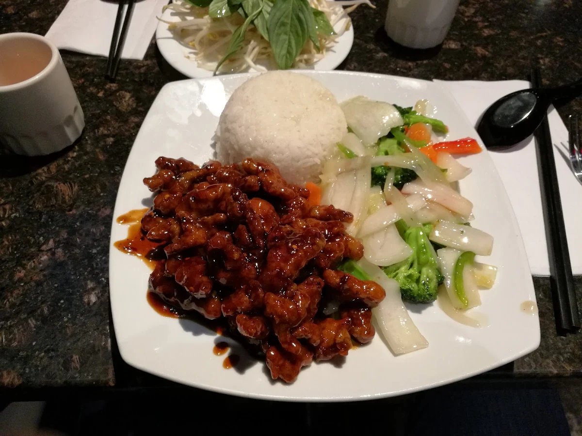 Orange Beef with Rice