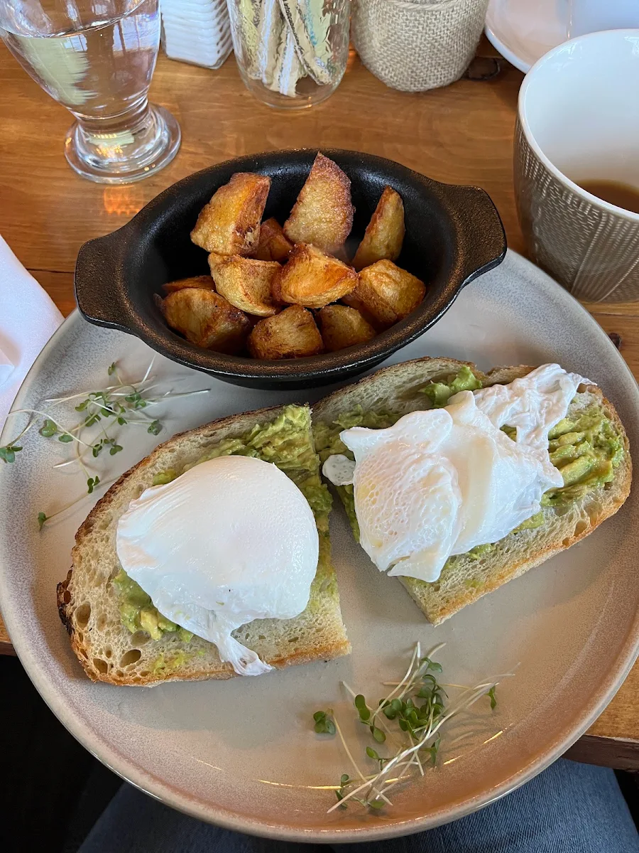 Avocado Toast