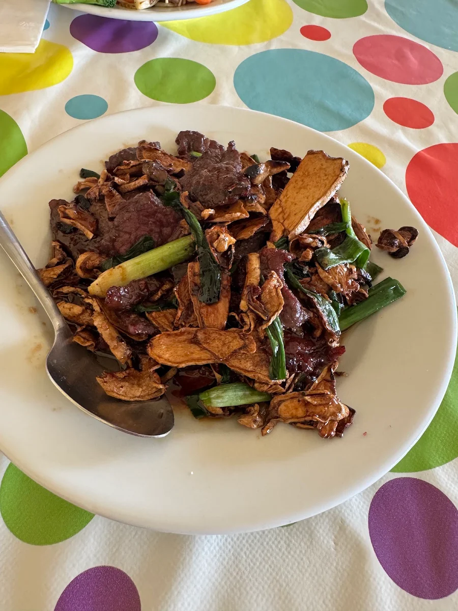 Dry Ginger Beef
