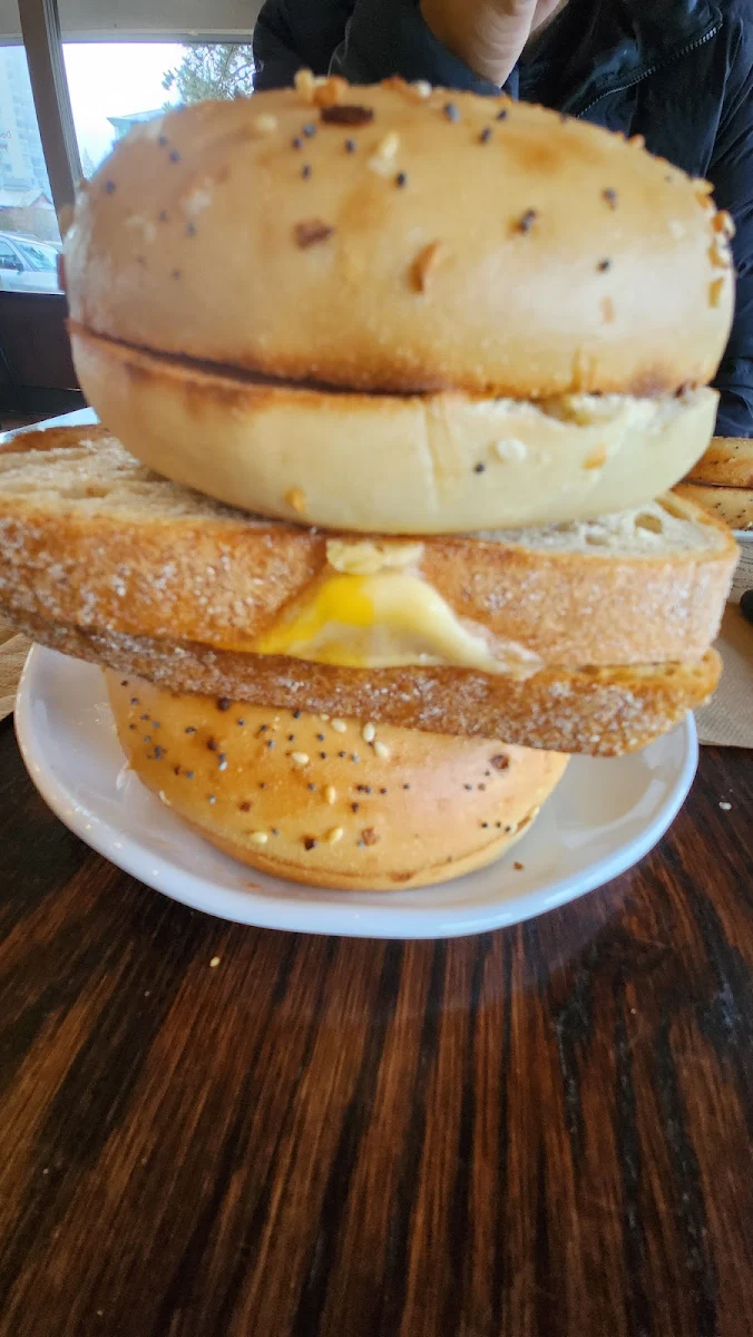 Everything Bagel Grilled Cheese Sourdough Toast