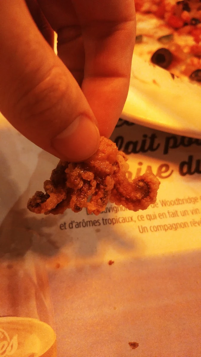 Fried Calamari