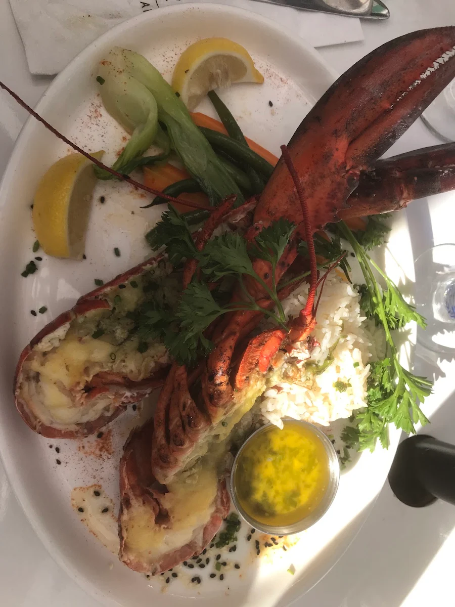 Lobster