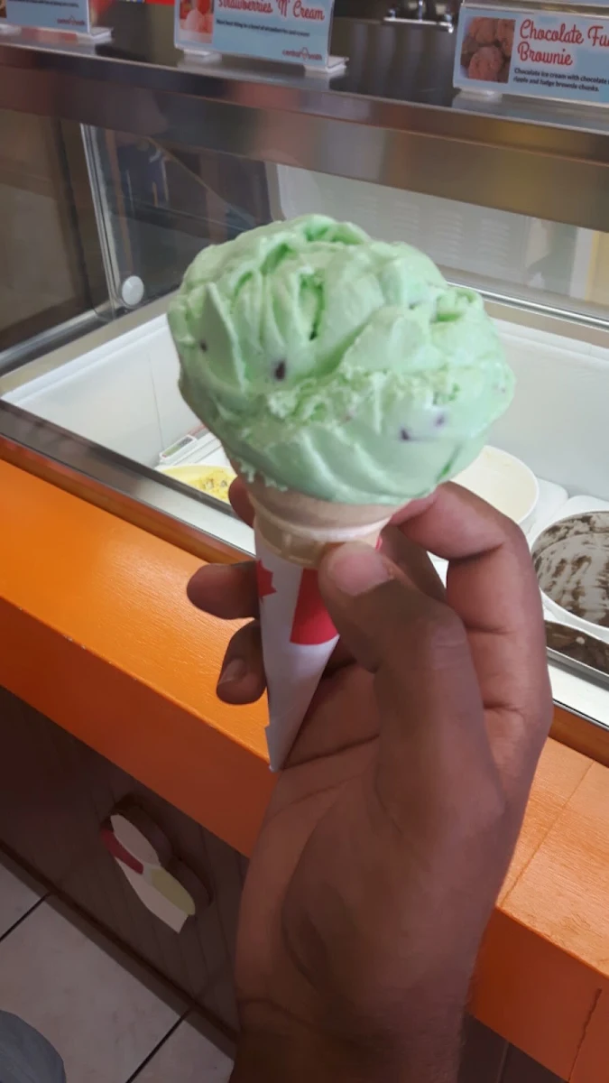 Mint Chocolate Chip Ice Cream
