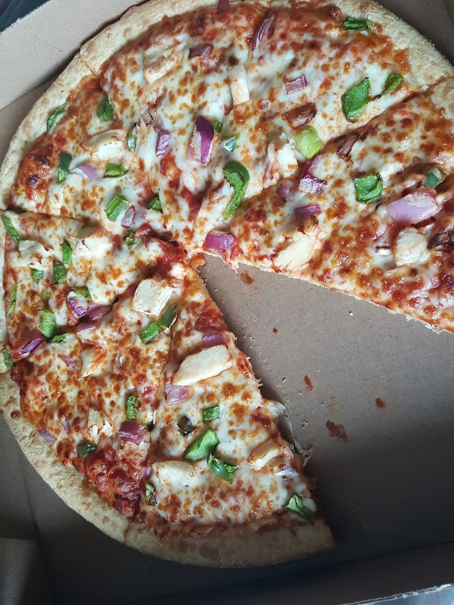 Veg and Chicken Pizza