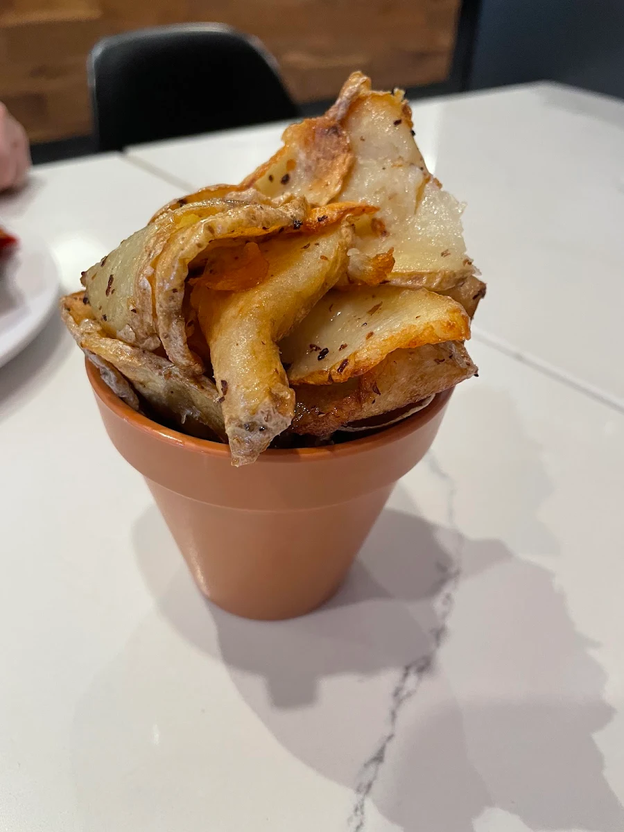 Potato Fries